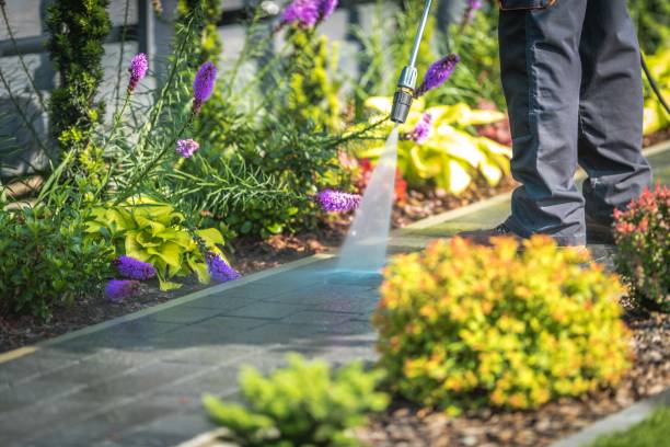 Best Gutter Cleaning  in Mion, AR