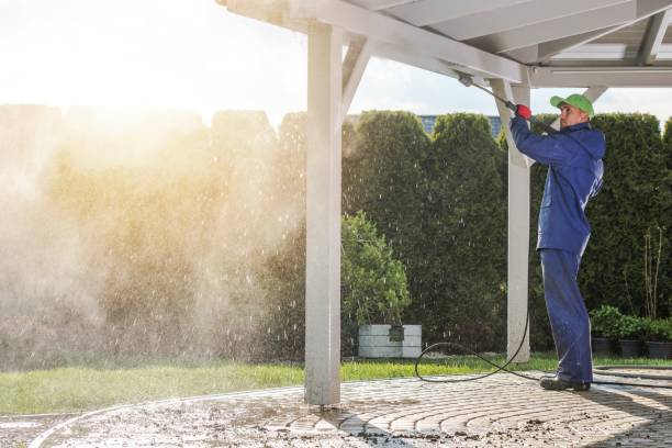 Best Spring Cleaning  in Mion, AR