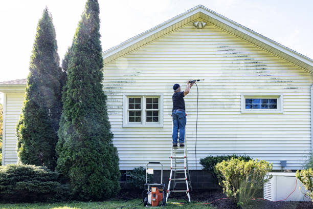 Best Driveway Pressure Washing  in Mion, AR